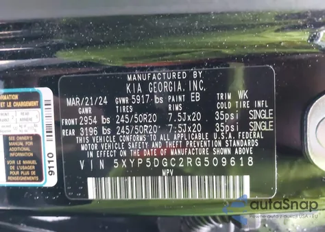 2024 Kia Telluride Sx Prestige X-Line from USA, damaged, VIN 5XYP5DGC2RG509618